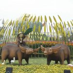 duonghoa_310022021