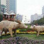 duonghoa_510022021