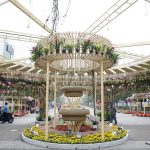 duonghoa_910022021