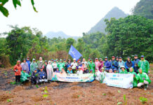 62.000 cây được trồng giúp giảm thiệt hại bão lũ trên khắp Việt Nam