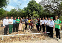 Tết trồng cây – Gieo mầm xanh khởi đầu năm mới Xuân Bính Ngọ