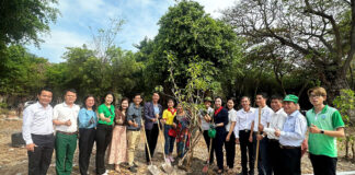 Tết trồng cây – Gieo mầm xanh khởi đầu năm mới Xuân Bính Ngọ